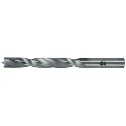 Fisch-tools HSS Holzspiralbohrer Type 013C D.10mm Gesamt-L.133mm HSS
