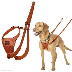 Company of Animals Halti No Pull (M, Hund, Hundesport, Spazieren), Halsband + Leine