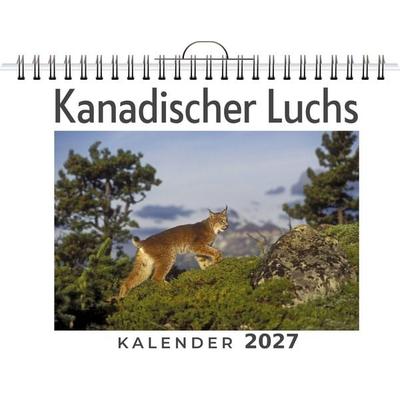 Kanadischer Luchs