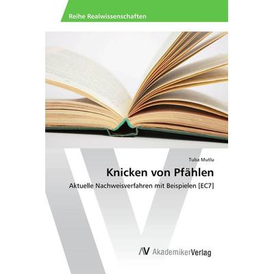 Knicken von Pfählen, Taschenbuch von Tuba Mutlu, AV Akademikerverlag, 978-3-639-49407-5
