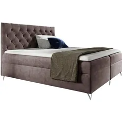 BOXBETT Ambre In Fresh