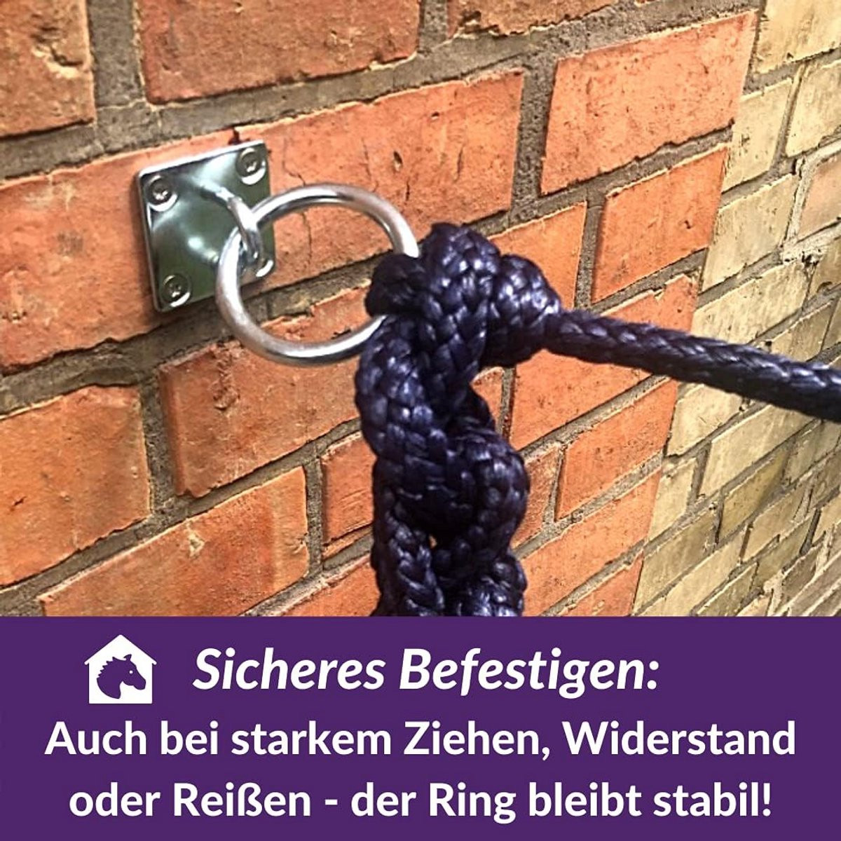 Robuuste RVS Bevestigingshaken voor Paarden en Vee