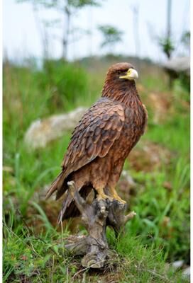 Hi-Line Gift Ltd. Golden Eagle