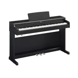 Arius YDP165B Schwarz