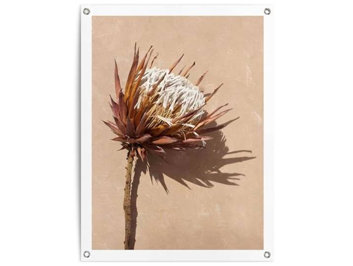 REINDERS Gartendeko, Schattenblume, Garten, Bilder, Wanddeko, Room Decor, Leinwand, Braun, 80 x 60