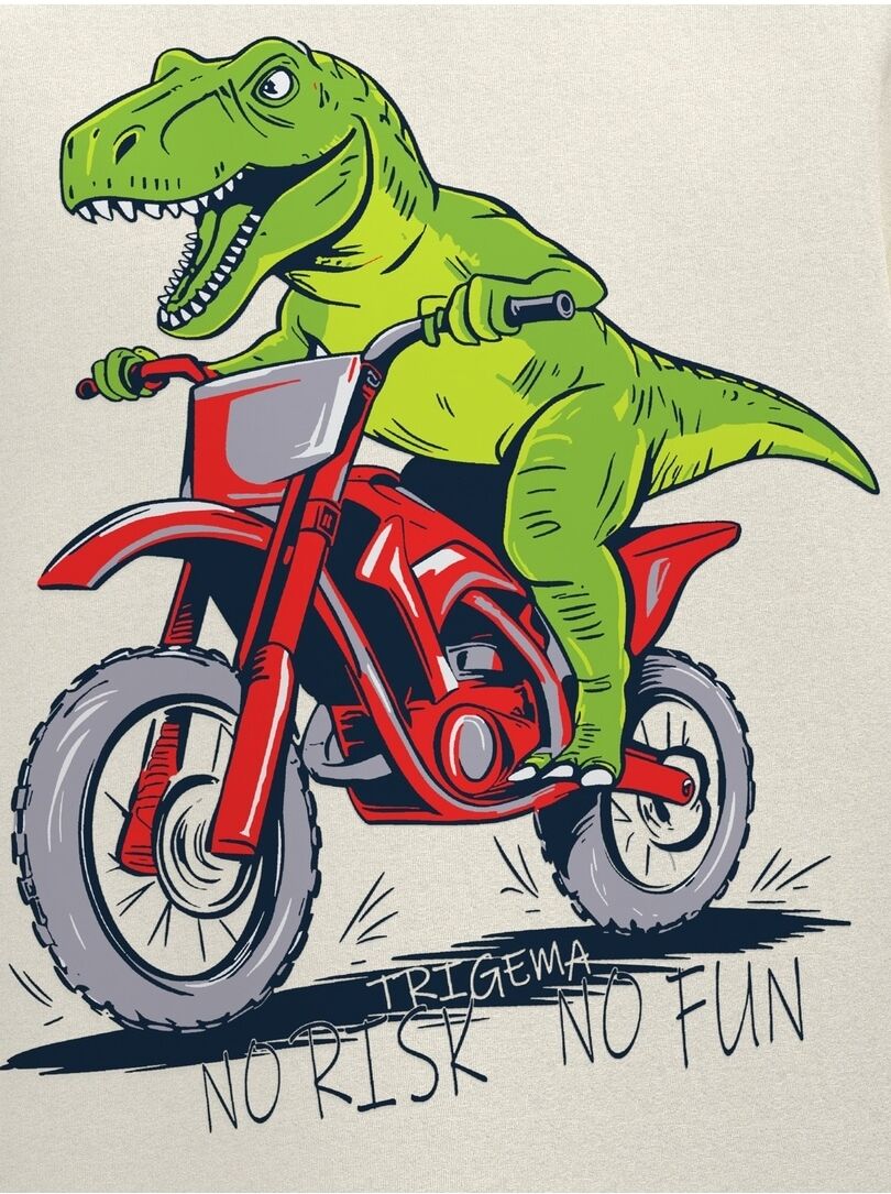 T-Shirt TRIGEMA "TRIGEMA T-Shirt mit Dino Motiv "No Risk No Fun", Jungen, Gr. 104, natur, Single Jersey, 100% Baumwolle, Basic, Rundhals, Shirts T-Shirt natur 104