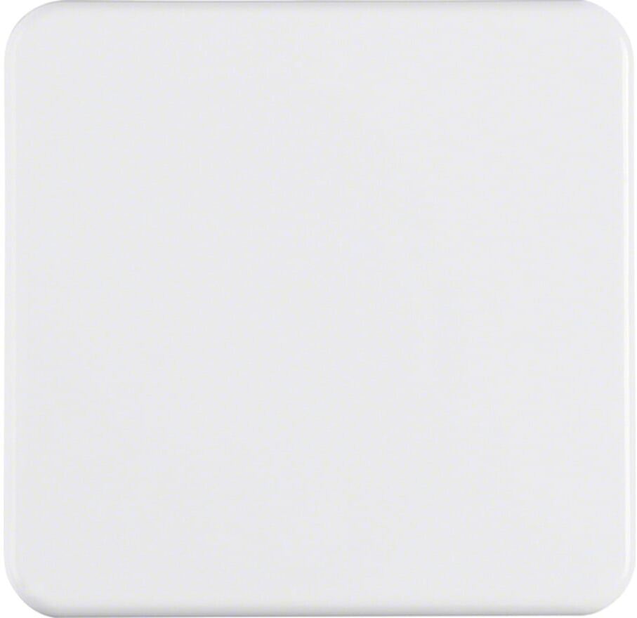 Berker Wippe pws/gl IP44 155009)