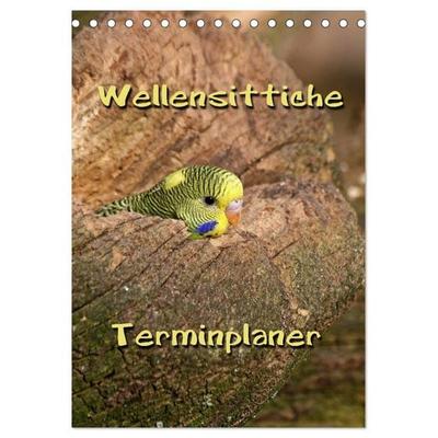 Wellensittiche Terminplaner (Tischkalender 2026 DIN A5 hoch), CALVENDO Monatskalender