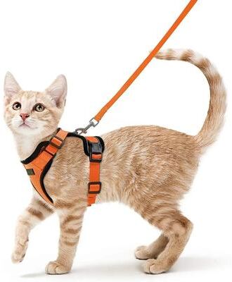 Uplift Essentials Escape Proof Soft Adjustable Vest Harness orange xs