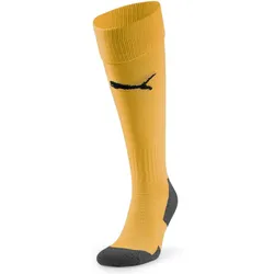 PUMA Team Liga Core Stutzenstrümpfe 61 - sun stream 43-46