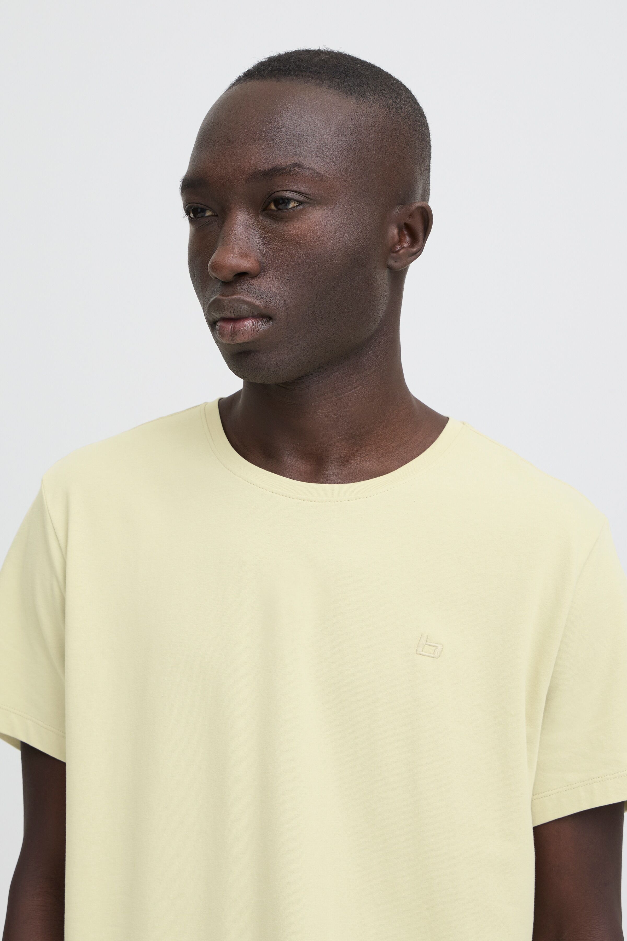 Rundhalsshirt BLEND "BHDinton Tee crew", Herren, Gr. XL, beige (alfalfa), Single Jersey, Obermaterial: 95% Baumwolle, 5% Elasthan, unifarben, regular fit normal, Rundhals, Shirts Rundhalsshirt, mit Markenlabel, aus Baumwollmischung, Regular Fit, in Single