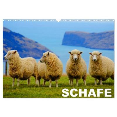 Schafe / Geburtstagskalender (Wandkalender 2027 DIN A3 quer), CALVENDO Monatskalender