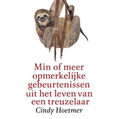 Min of meer opmerkelijke gebeurtenissen uit het leven van een treuzelaar - Cindy Hoetmer, Audio, 9789463639460
