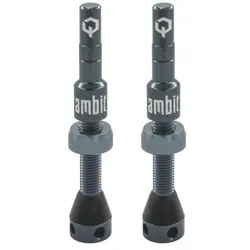 AMBIT Tubeless Ventil Set Realm | ambit blau-grau