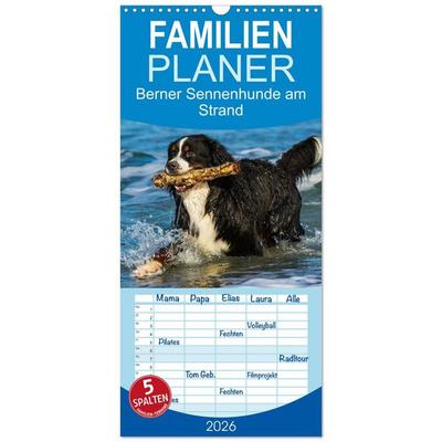 Familienplaner 2026 - Berner Sennenhunde am Strand mit 5 Spalten (Wandkalender, 21 x 45 cm) CALVENDO