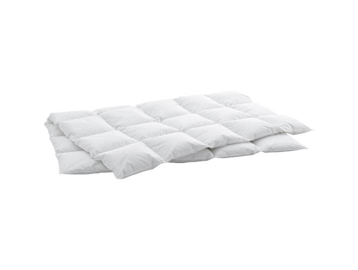 Billerbeck Duvet Tayler weiss Baumwolle/Daunen/Federn 160 x 210 cm Entendaunen/Entenfedern - Schweizer Möbelhersteller