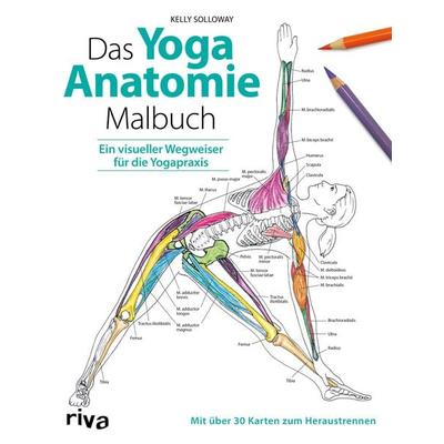Das Yoga-Anatomie-Malbuch, Taschenbuch von Kelly Solloway,Samantha Stutzman, Riva, 978-3-7423-1000-2