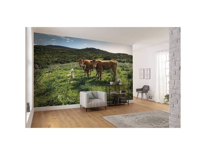 Papier peint intissé Paradis des vaches 450 x 280cm