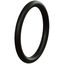 Kessel 680015 - O-Ring
