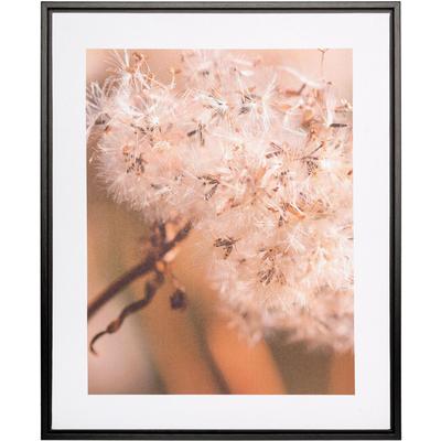 Bild mit Rahmen CREATIV HOME "Pusteblume", beige (farbe rahmen: schwarz, farbe bild(er): natur), B:40cm H:50cm T:2,5cm, Papier, Bilder, auf Canvas-Leinwand