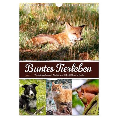 Buntes Tierleben (Wandkalender 2027 DIN A4 hoch), CALVENDO Monatskalender