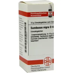 Sambucus Nigra D 4 Globuli 10 g