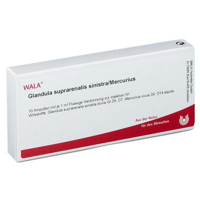 Glandula Suprarenalis sinistra/Mercurius Ampullen 10x1 ml