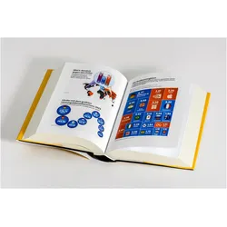 Systemversagen, Sachbücher von Gabor Steingart