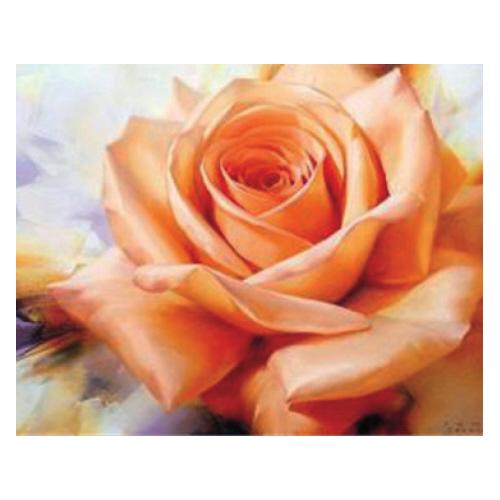 Pracht Diamond Painting 6037-50011 Orangene Rose 33 x 44 cm (6037-50011)