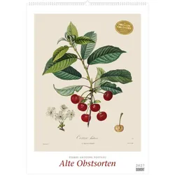 DuMont, Kalender, Alte Obstsorten 2027 (50 x 70 cm)