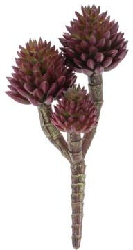 Melrose International Succulent Plant Pick (Set of 6)