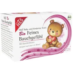 H&S Feines Bauchgefühl Bio 20X1,5 g