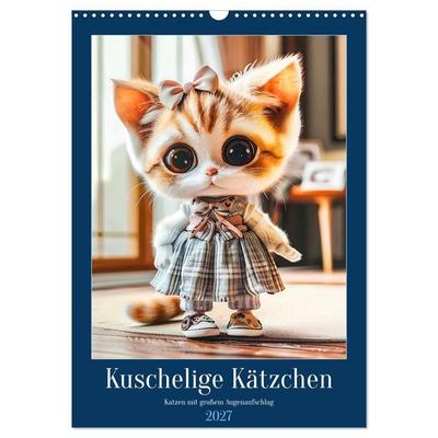 Kuschelige Kätzchen - Katzen mit großem Augenaufschlag (Wandkalender 2027 DIN A3 hoch), CALVENDO Monatskalender