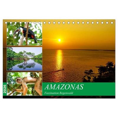 Amazonas - Faszination Regenwald (Tischkalender 2026 DIN A5 quer), CALVENDO Monatskalender