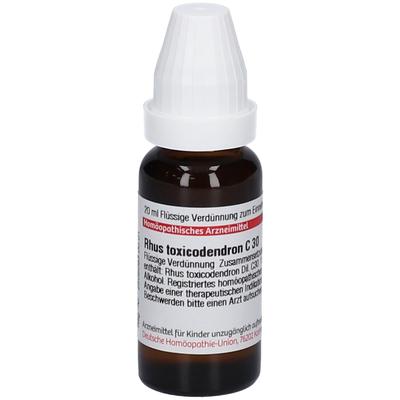 Rhus Toxicodendron C 30 Dilution 20 ml