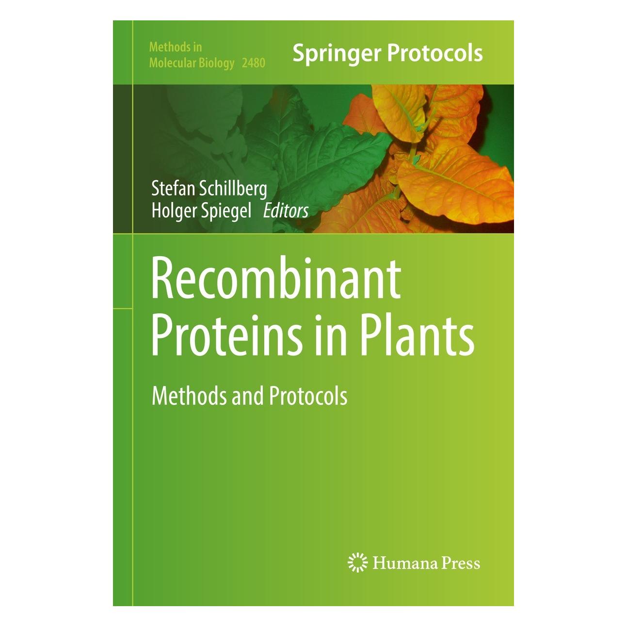 Springer Recombinant Proteins in Plants (Englisch, Hardcover, Holger Spiegel, Stefan Schillberg) (9781071622407)