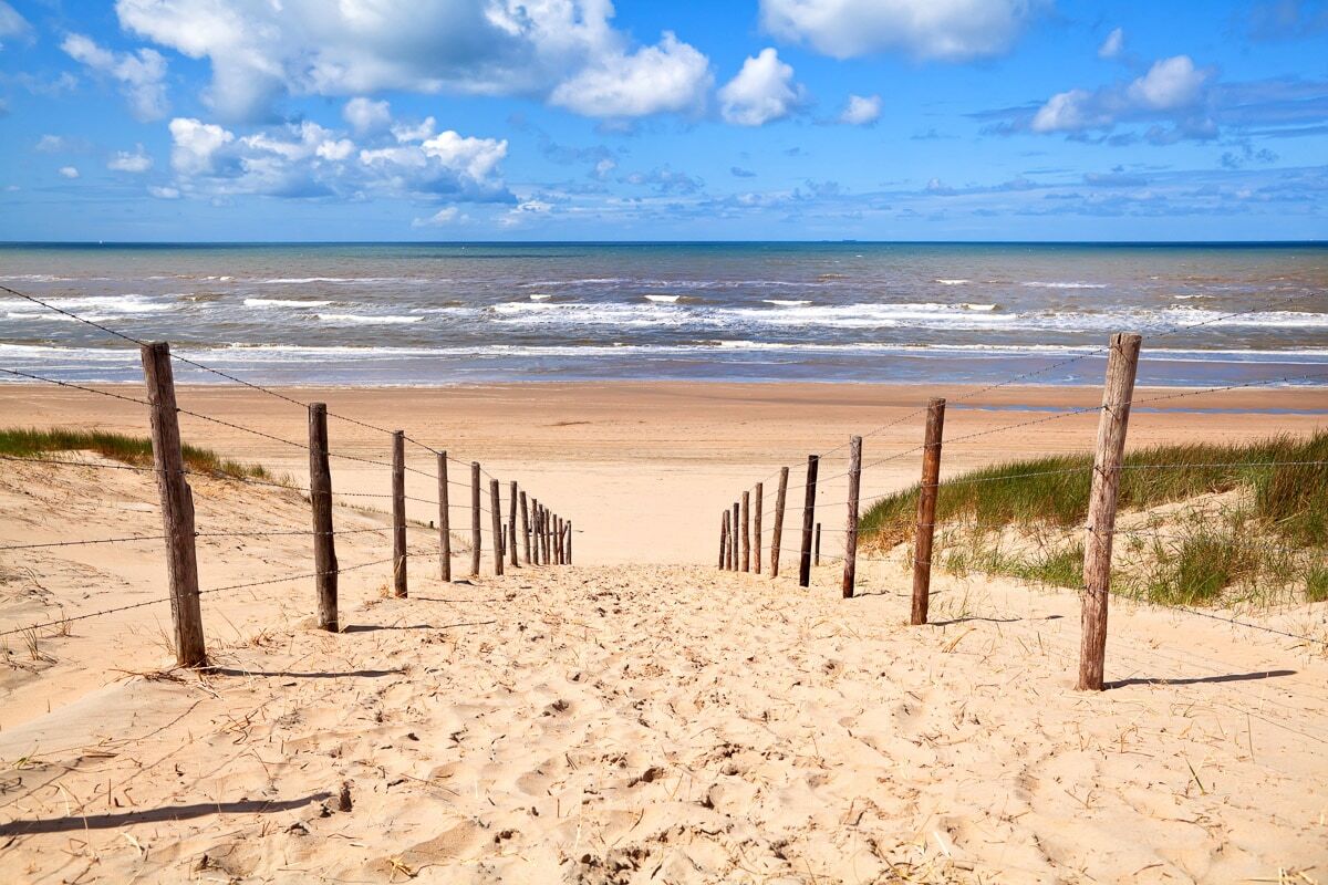 Fototapete PAPERMOON "Weg zum Sandstrand", bunt, B:4m L:2,6m, Vlies, Tapeten, Fototapete bunt B/L: 4m x 2,6m, Bahnen: 8 Stk.