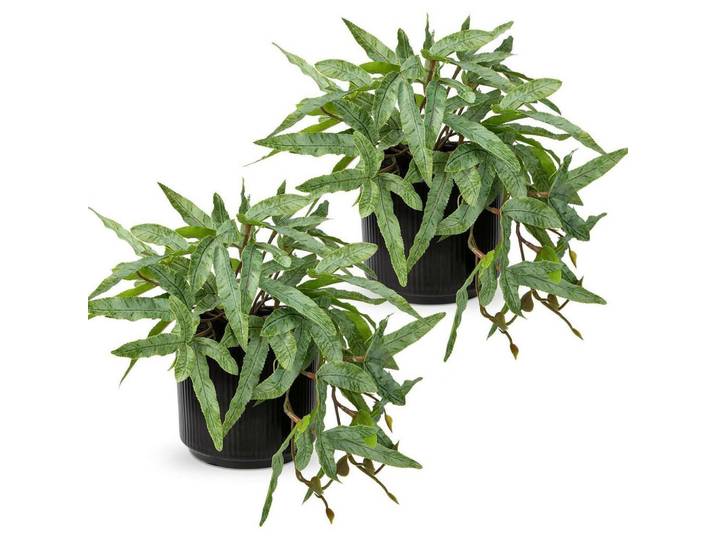 Kunstpflanze Farn 2er Set im Keramiktopf Grün, 22 cm, Dekoration, Blumen & Blumentöpfe, Kunstpflanzen