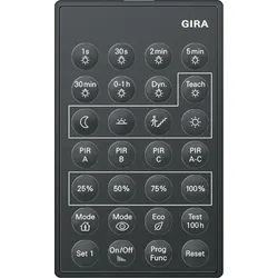 Gira IR-Fernbedienung 238200