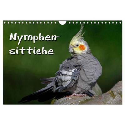 Nymphensittiche (Wandkalender 2027 DIN A4 quer), CALVENDO Monatskalender