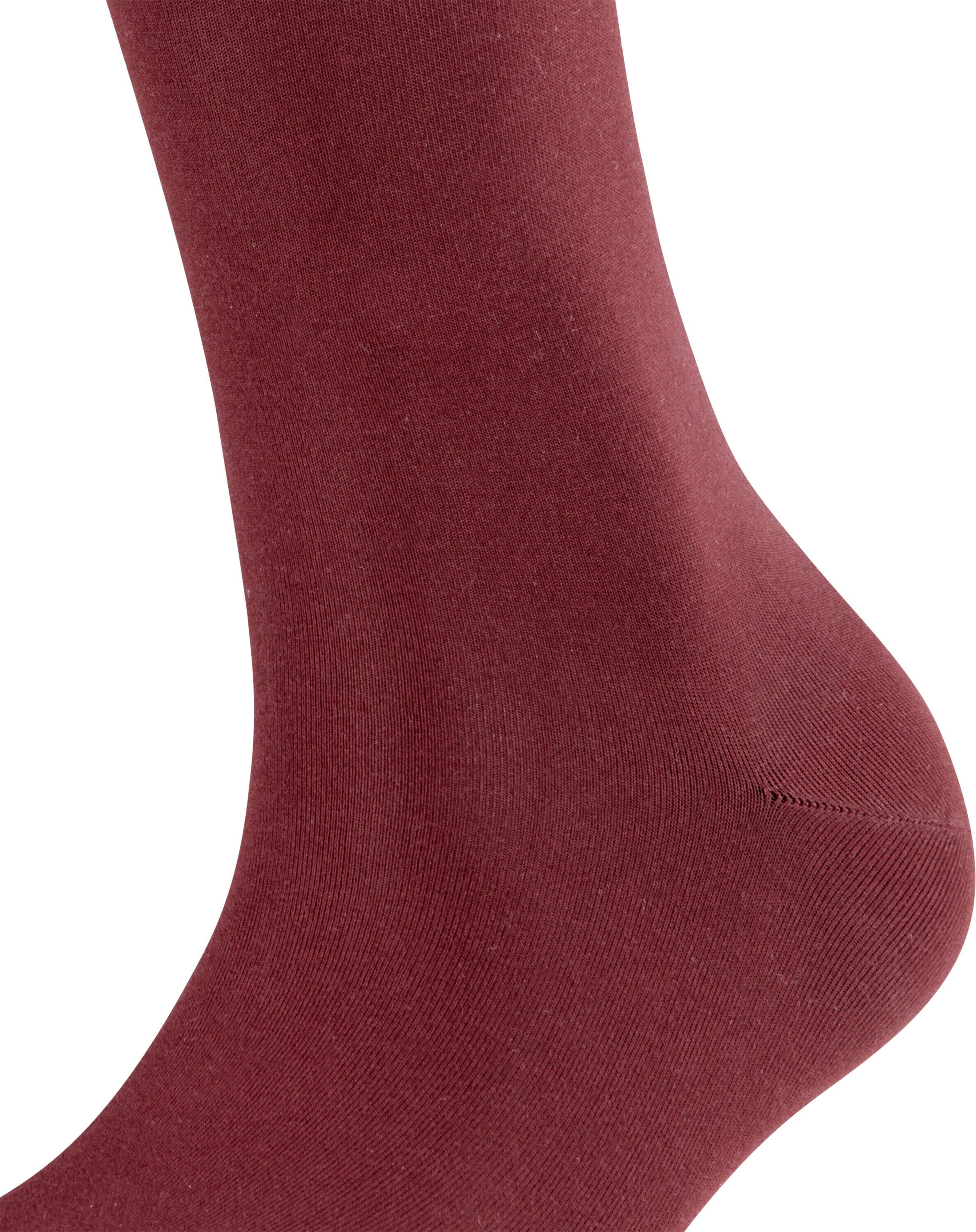 Kniestrümpfe FALKE "Cotton Touch", Damen, Gr. 35-38, Sockengrösse, rot (barolo), Baumwollmischung, unifarben, Socken Kniestrümpfe, feines, elegantes Erscheinungsbild, aus Baumwolle, atmungsaktiv barolo 35-38, Sockengrösse