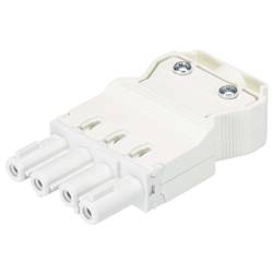 Wieland Electric 92.943.3053.0 Steckverbinder