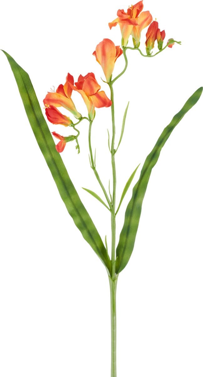 Easyplants Kunstbloem Freesia Oranje 56 cm