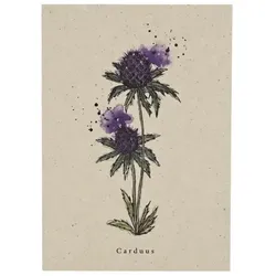 metabooks Postkarte Distel DINA6