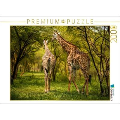 CALVENDO Puzzle Giraffen in der Savanne - Faszinierende Tierwelt im Senegal | 2000 Teile Lege-Größe 90 × 67 cm Foto-Puzzle für glückliche Stunden
