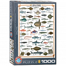 eurographics Puzzle - Seefische - 1000 Teile 300759