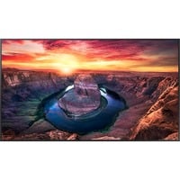 QM65C, Public Display schwarz, UltraHD/4K, WLAN, Bluetooth, HDMI