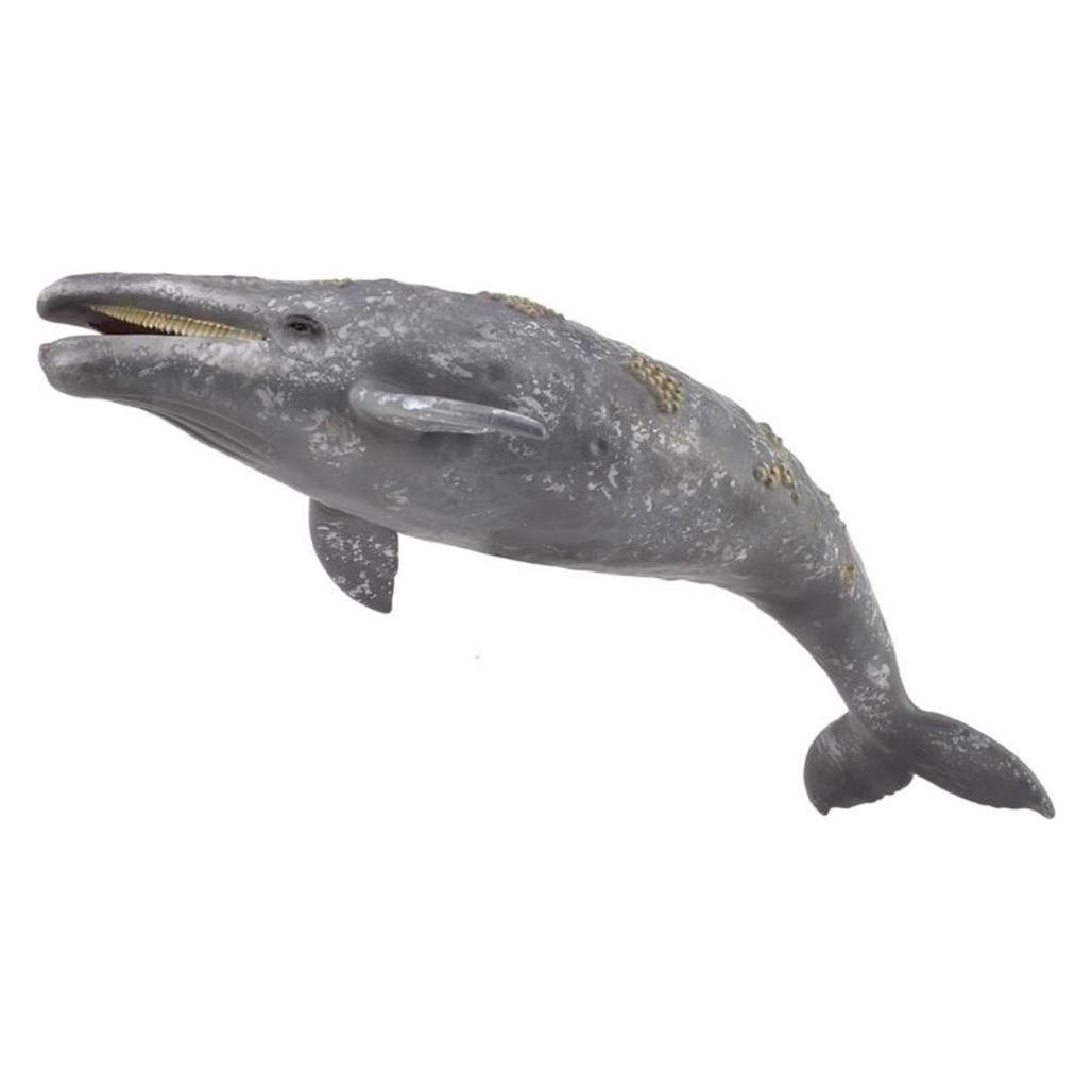 Collecta Grauwal, 88836 (004-88836)