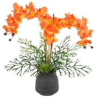Creative Labs Orchid and Fern Arrangement