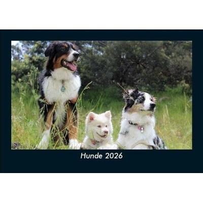 Hunde 2026 Fotokalender DIN A5